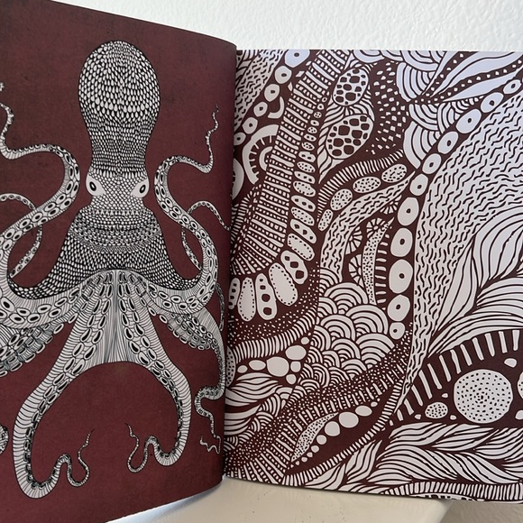 Calming Therapy: An Anti-Stress Coloring Book - Picture 9 of 16